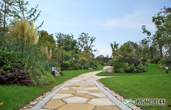 亚洲精品白浆高清久久久久久