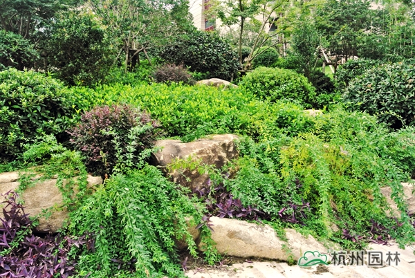 亚洲精品白浆高清久久久久久