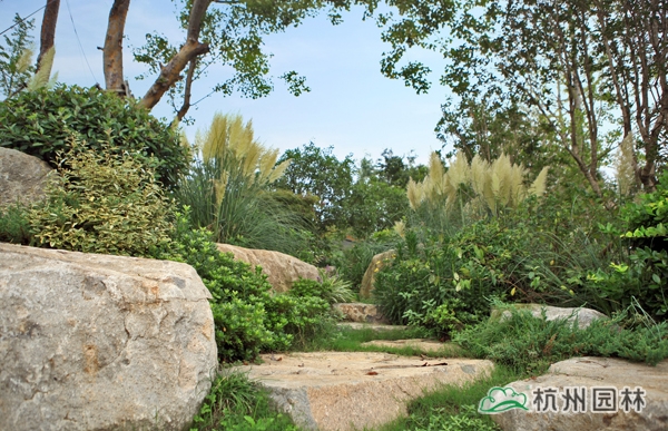 亚洲精品白浆高清久久久久久