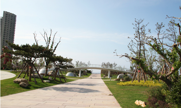 亚洲精品白浆高清久久久久久