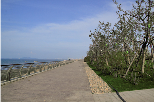 亚洲精品白浆高清久久久久久