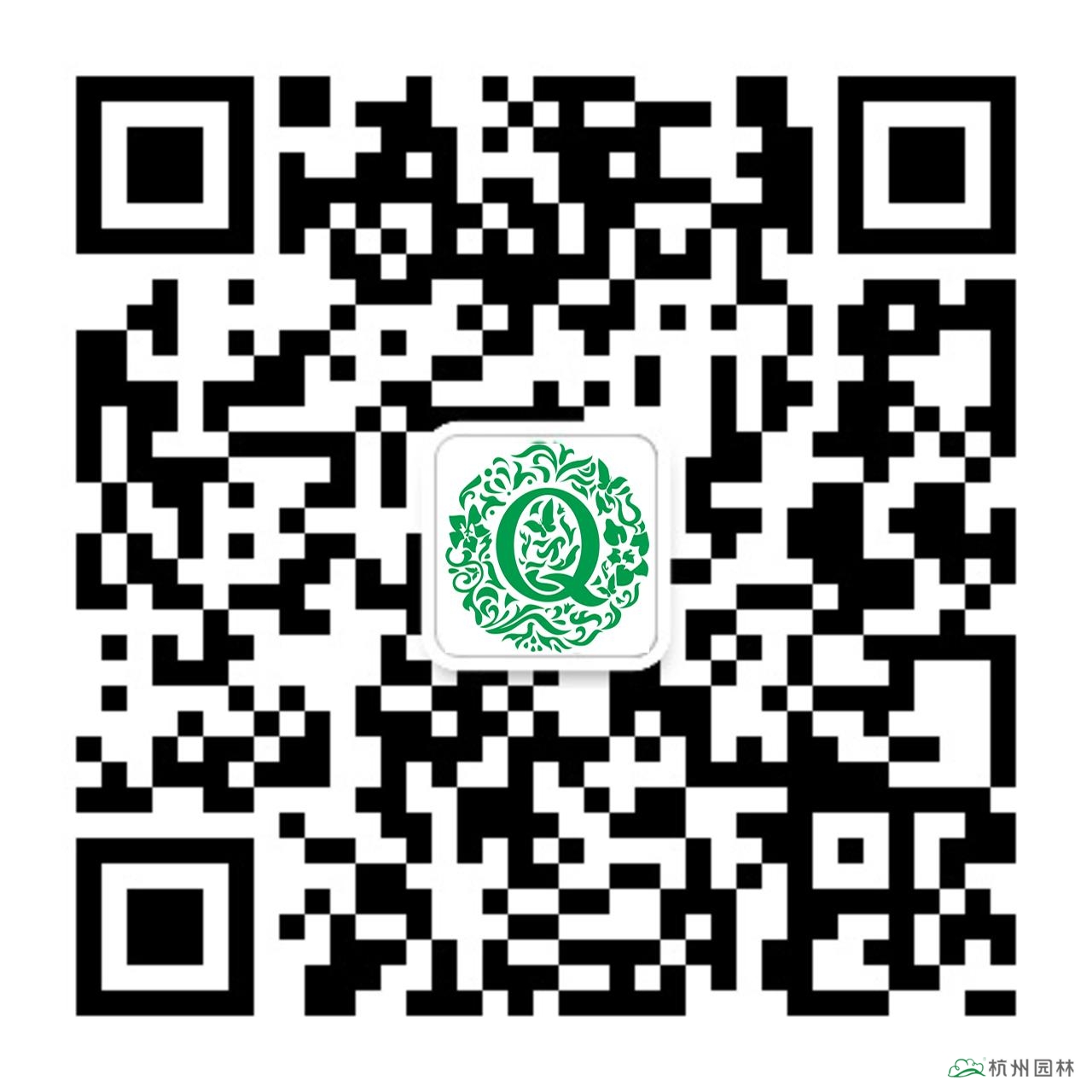 亚洲精品白浆高清久久久久久