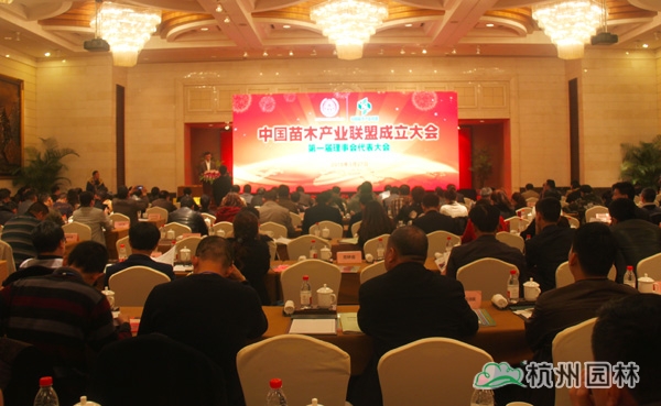 亚洲精品白浆高清久久久久久