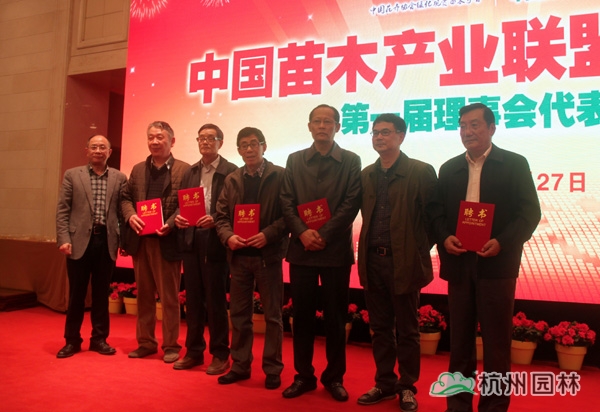 亚洲精品白浆高清久久久久久