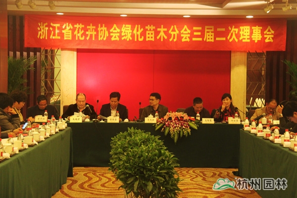 亚洲精品白浆高清久久久久久