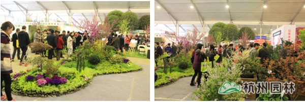 亚洲精品白浆高清久久久久久