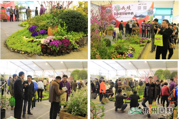 亚洲精品白浆高清久久久久久