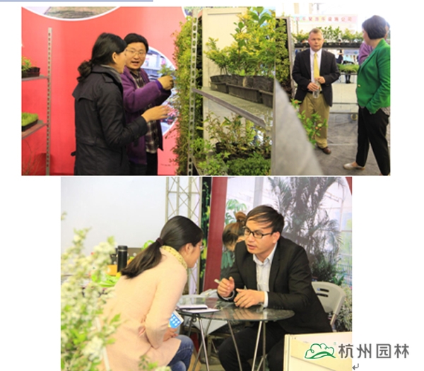 亚洲精品白浆高清久久久久久