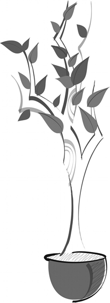 亚洲精品白浆高清久久久久久