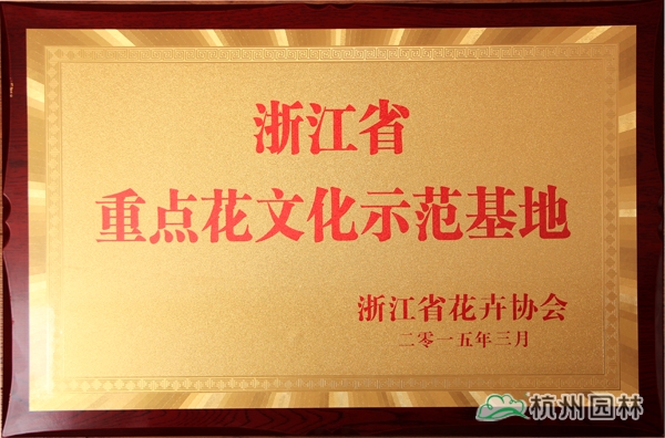 亚洲精品白浆高清久久久久久