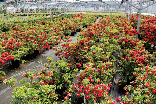 亚洲精品白浆高清久久久久久