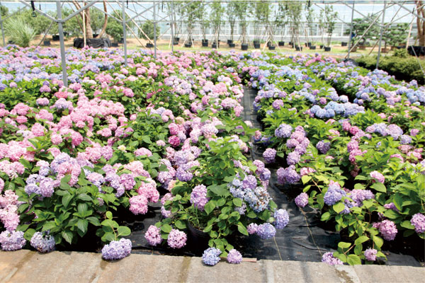 亚洲精品白浆高清久久久久久