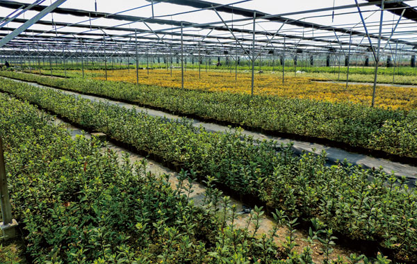 亚洲精品白浆高清久久久久久