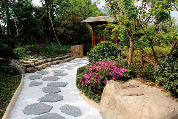 亚洲精品白浆高清久久久久久