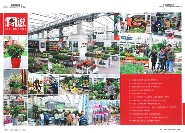 亚洲精品白浆高清久久久久久