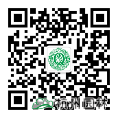 亚洲精品白浆高清久久久久久