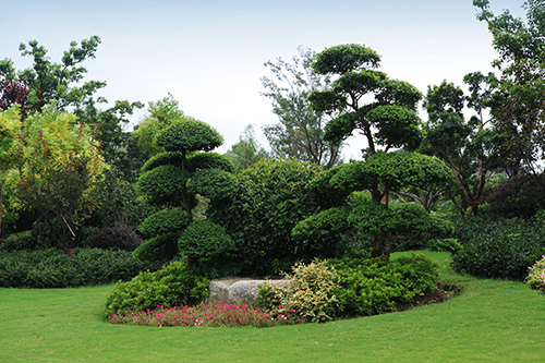 亚洲精品白浆高清久久久久久