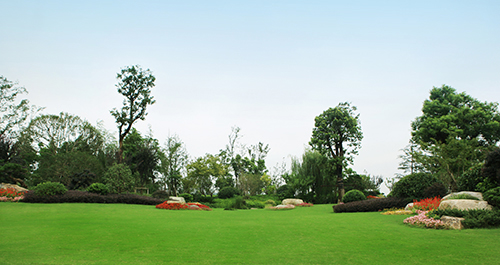 亚洲精品白浆高清久久久久久