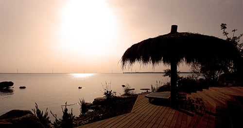 亚洲精品白浆高清久久久久久