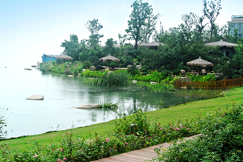 亚洲精品白浆高清久久久久久