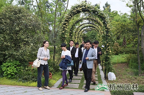亚洲精品白浆高清久久久久久