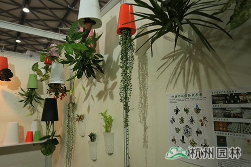 亚洲精品白浆高清久久久久久