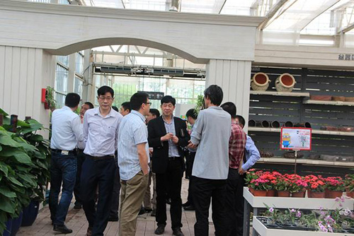 亚洲精品白浆高清久久久久久