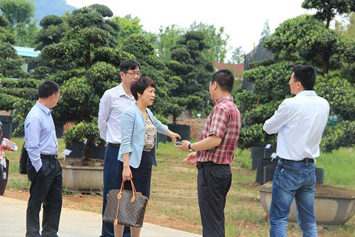 亚洲精品白浆高清久久久久久