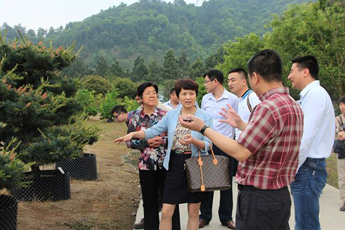 亚洲精品白浆高清久久久久久