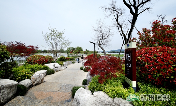 亚洲精品白浆高清久久久久久