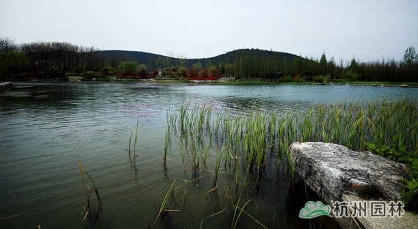 亚洲精品白浆高清久久久久久