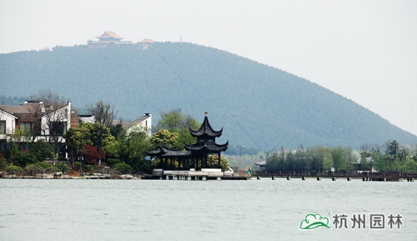 亚洲精品白浆高清久久久久久