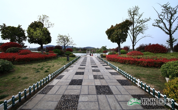 亚洲精品白浆高清久久久久久