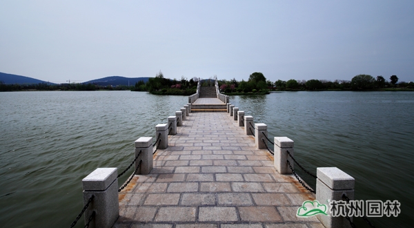 亚洲精品白浆高清久久久久久