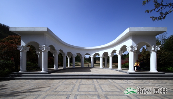 亚洲精品白浆高清久久久久久