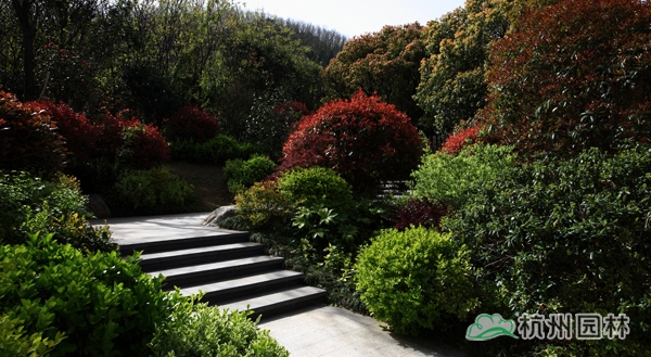 亚洲精品白浆高清久久久久久