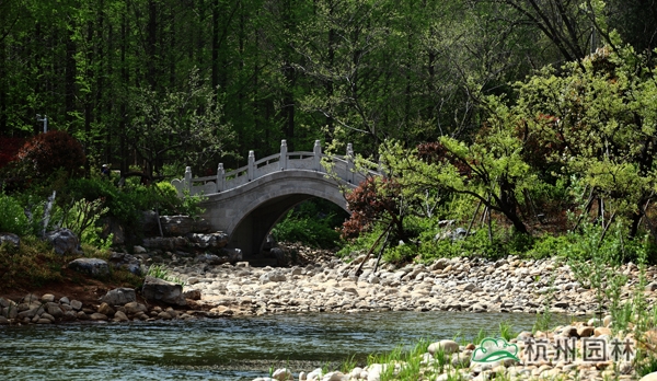 亚洲精品白浆高清久久久久久