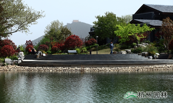 亚洲精品白浆高清久久久久久