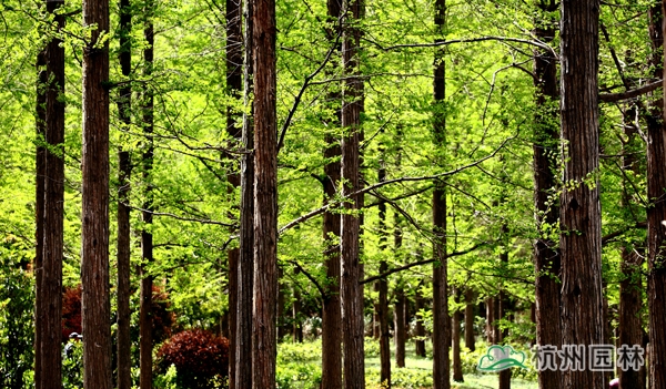 亚洲精品白浆高清久久久久久