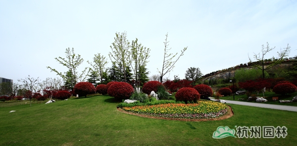 亚洲精品白浆高清久久久久久