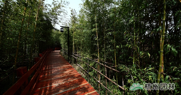 亚洲精品白浆高清久久久久久