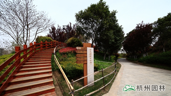 亚洲精品白浆高清久久久久久