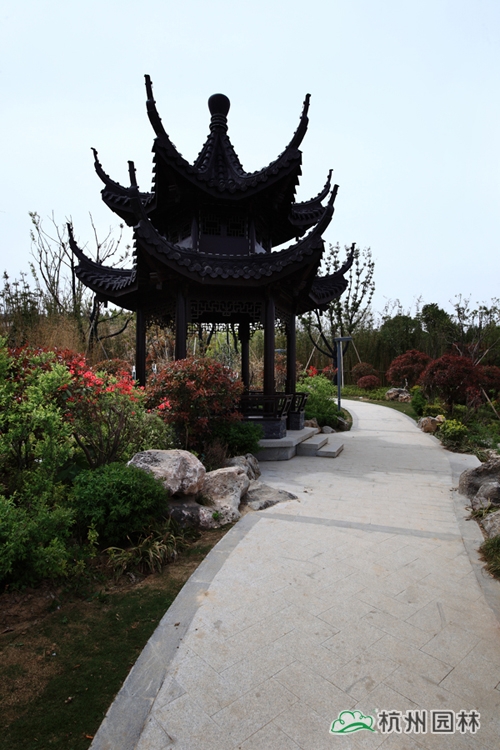 亚洲精品白浆高清久久久久久