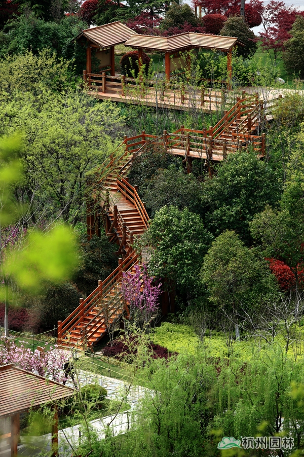 亚洲精品白浆高清久久久久久