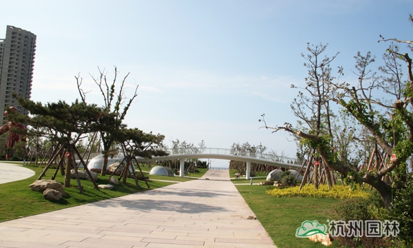 亚洲精品白浆高清久久久久久