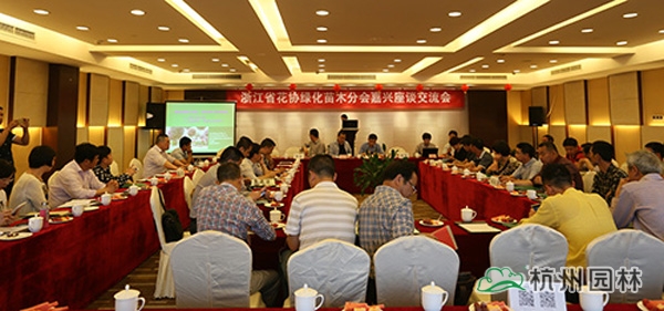 亚洲精品白浆高清久久久久久
