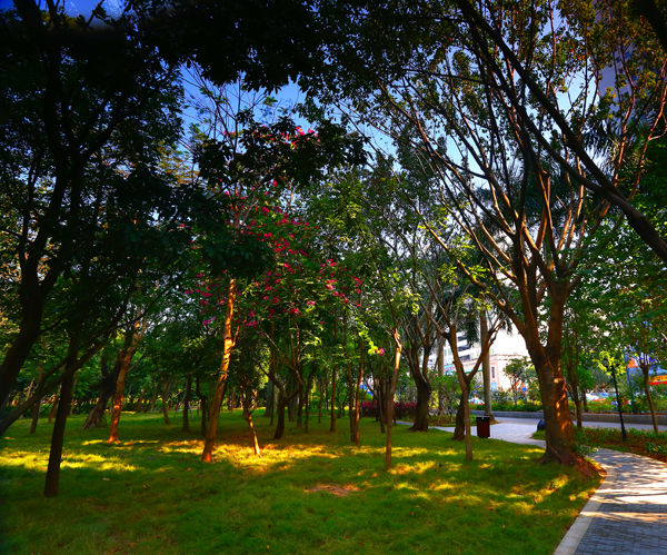 亚洲精品白浆高清久久久久久