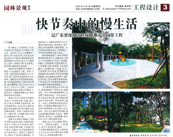 亚洲精品白浆高清久久久久久