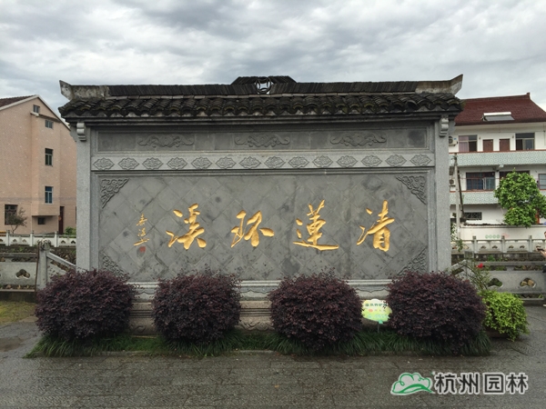 亚洲精品白浆高清久久久久久