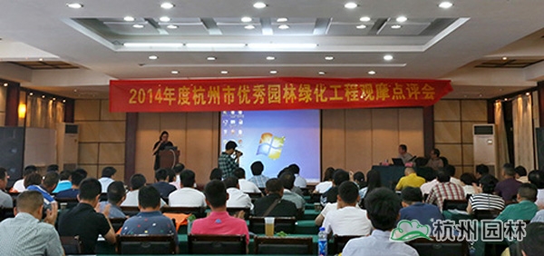 亚洲精品白浆高清久久久久久